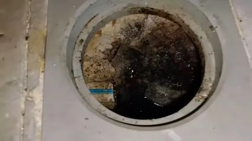 Round floor drain opening with dark debris and a little standing water at the bottom