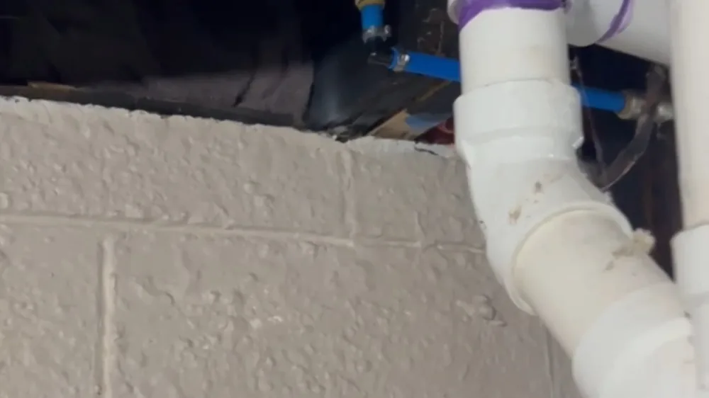 White PVC drain elbow beside a blue PEX line against a concrete block wall