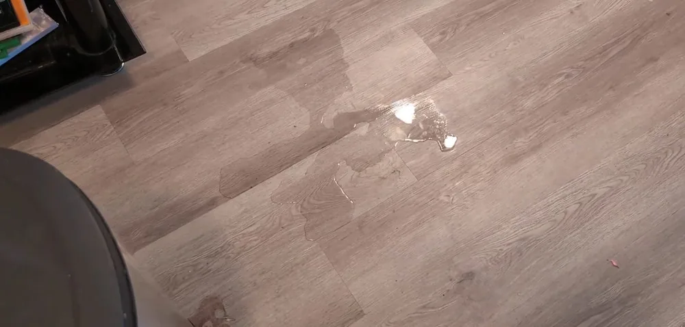 Small puddle of water on a wood-look plank floor